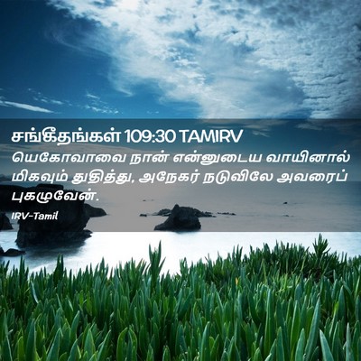 Picture 02 - சங்கீதங்கள் 109:30 TAMIRV - யெகோவாவை நான் - Bible Verse Picture