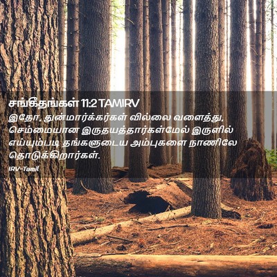 Picture 02 - சங்கீதங்கள் 11:2 TAMIRV - இதோ, - Bible Verse Picture