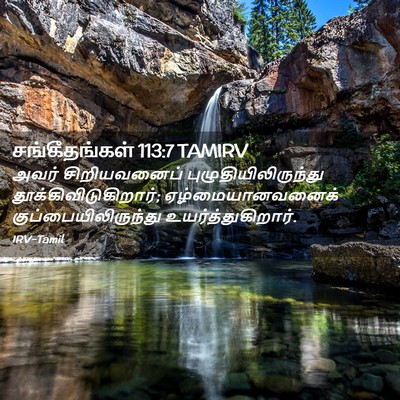 Picture 02 - சங்கீதங்கள் 113:7 TAMIRV - அவர் சிறியவனைப் - Bible Verse Picture
