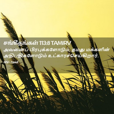 Picture 02 - சங்கீதங்கள் 113:8 TAMIRV - அவனைப் - Bible Verse Picture