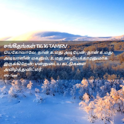 Picture 02 - சங்கீதங்கள் 116:16 TAMIRV - யெகோவாவே, நான் - Bible Verse Picture