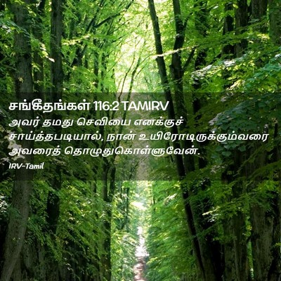 Picture 02 - சங்கீதங்கள் 116:2 TAMIRV - அவர் தமது செவியை - Bible Verse Picture