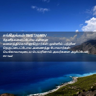 Picture 02 - சங்கீதங்கள் 118:12 TAMIRV - தேனீக்களைப்போல - Bible Verse Picture