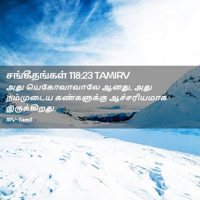 Picture 02 - சங்கீதங்கள் 118:23 TAMIRV - அது யெகோவாவாலே - Bible Verse Picture