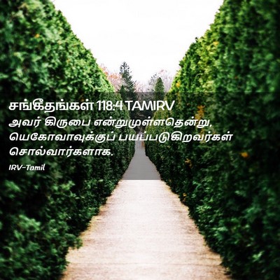 Picture 02 - சங்கீதங்கள் 118:4 TAMIRV - அவர் கிருபை - Bible Verse Picture