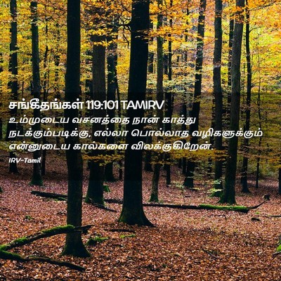 Picture 02 - சங்கீதங்கள் 119:101 TAMIRV - உம்முடைய வசனத்தை - Bible Verse Picture