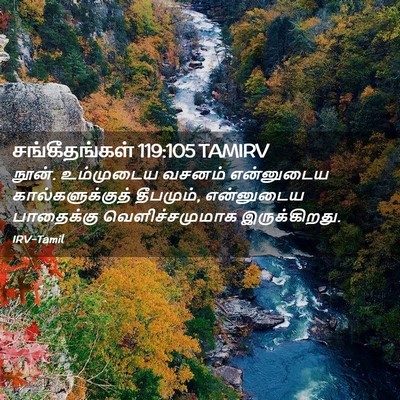 Picture 02 - சங்கீதங்கள் 119:105 TAMIRV - நூன். உம்முடைய - Bible Verse Picture