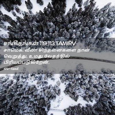 Picture 02 - சங்கீதங்கள் 119:113 TAMIRV - சாமெக். வீண் - Bible Verse Picture