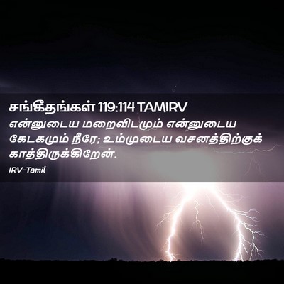 Picture 02 - சங்கீதங்கள் 119:114 TAMIRV - என்னுடைய - Bible Verse Picture