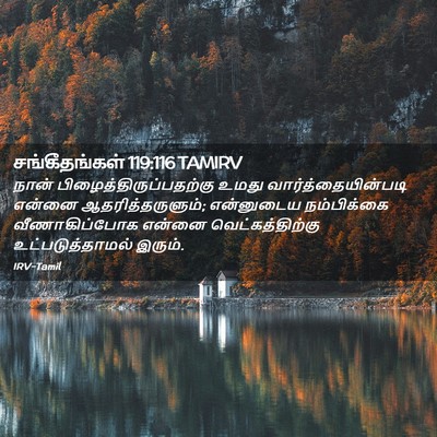 Picture 02 - சங்கீதங்கள் 119:116 TAMIRV - நான் - Bible Verse Picture