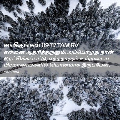 Picture 02 - சங்கீதங்கள் 119:117 TAMIRV - என்னை - Bible Verse Picture