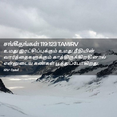 Picture 02 - சங்கீதங்கள் 119:123 TAMIRV - உமது - Bible Verse Picture