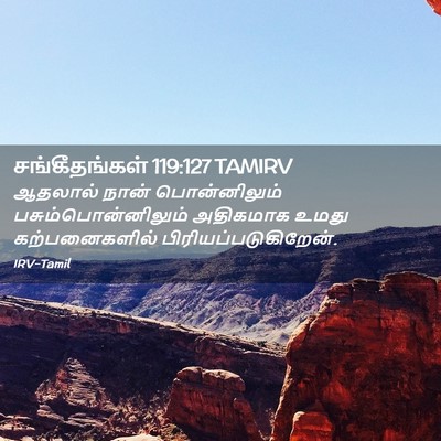 Picture 02 - சங்கீதங்கள் 119:127 TAMIRV - ஆதலால் நான் - Bible Verse Picture