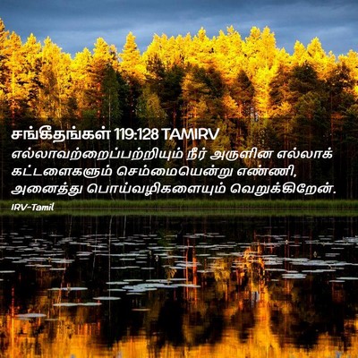 Picture 02 - சங்கீதங்கள் 119:128 TAMIRV -  - Bible Verse Picture