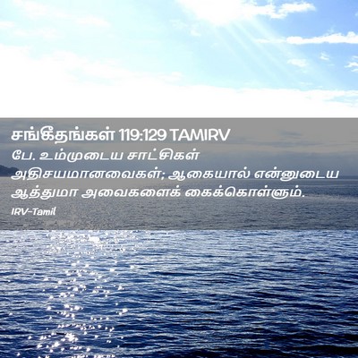 Picture 02 - சங்கீதங்கள் 119:129 TAMIRV - பே. உம்முடைய - Bible Verse Picture