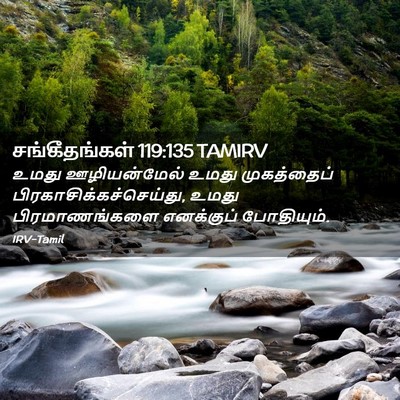 Picture 02 - சங்கீதங்கள் 119:135 TAMIRV - உமது ஊழியன்மேல் - Bible Verse Picture