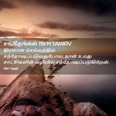 Picture 02 - சங்கீதங்கள் 119:14 TAMIRV - திரளான - Bible Verse Picture