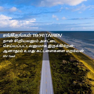 Picture 02 - சங்கீதங்கள் 119:141 TAMIRV - நான் சிறியவனும் - Bible Verse Picture