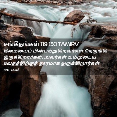 Picture 02 - சங்கீதங்கள் 119:150 TAMIRV - தீமையைப் - Bible Verse Picture