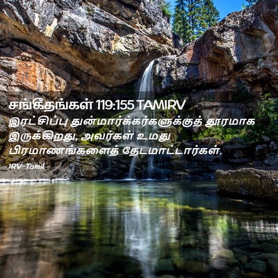 Picture 02 - சங்கீதங்கள் 119:155 TAMIRV - இரட்சிப்பு - Bible Verse Picture