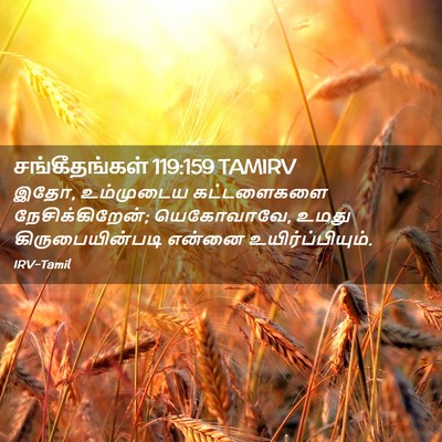 Picture 02 - சங்கீதங்கள் 119:159 TAMIRV - இதோ, உம்முடைய - Bible Verse Picture