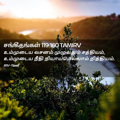 Picture 02 - சங்கீதங்கள் 119:160 TAMIRV - உம்முடைய வசனம் - Bible Verse Picture