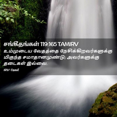 Picture 02 - சங்கீதங்கள் 119:165 TAMIRV - உம்முடைய வேதத்தை - Bible Verse Picture