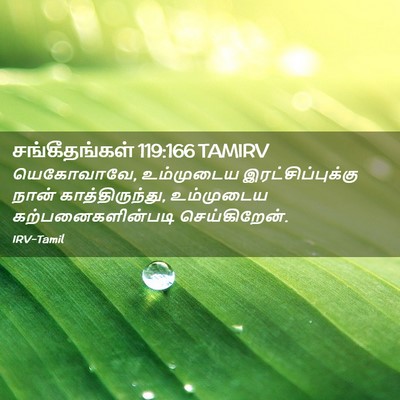 Picture 02 - சங்கீதங்கள் 119:166 TAMIRV - யெகோவாவே, - Bible Verse Picture