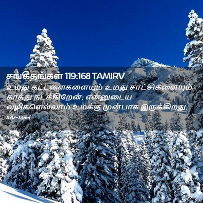 Picture 02 - சங்கீதங்கள் 119:168 TAMIRV - உமது - Bible Verse Picture