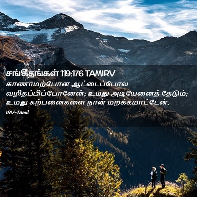 Picture 02 - சங்கீதங்கள் 119:176 TAMIRV - காணாமற்போன - Bible Verse Picture