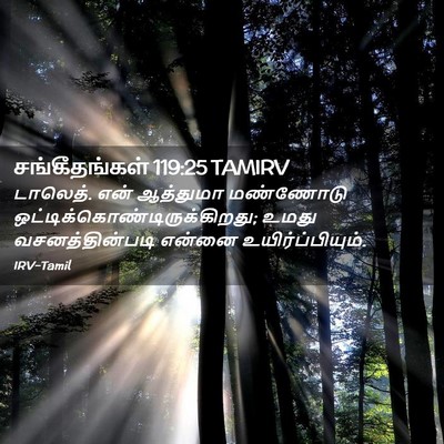 Picture 02 - சங்கீதங்கள் 119:25 TAMIRV - டாலெத். என் - Bible Verse Picture