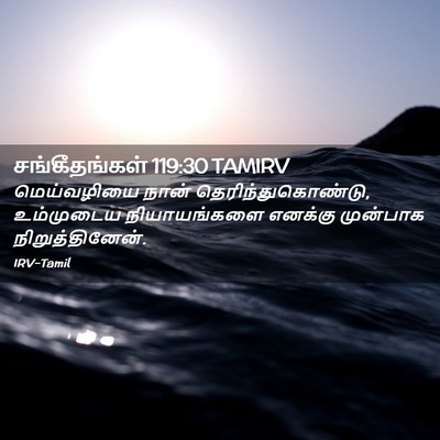 Picture 02 - சங்கீதங்கள் 119:30 TAMIRV - மெய்வழியை நான் - Bible Verse Picture