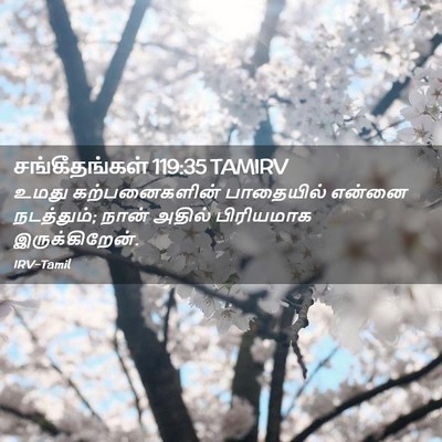 Picture 02 - சங்கீதங்கள் 119:35 TAMIRV - உமது கற்பனைகளின் - Bible Verse Picture