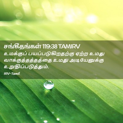 Picture 02 - சங்கீதங்கள் 119:38 TAMIRV - உமக்குப் - Bible Verse Picture