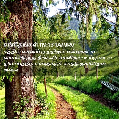 Picture 02 - சங்கீதங்கள் 119:43 TAMIRV - சத்திய வசனம் - Bible Verse Picture