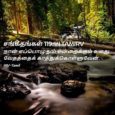 Picture 02 - சங்கீதங்கள் 119:44 TAMIRV - நான் எப்பொழுதும் - Bible Verse Picture