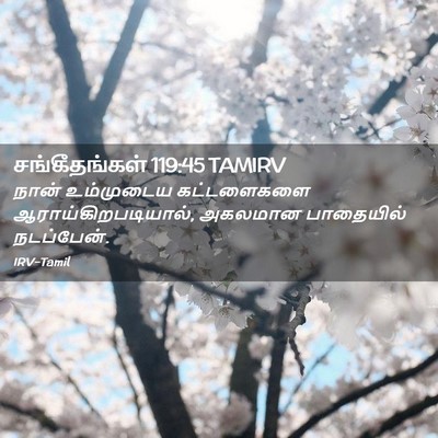 Picture 02 - சங்கீதங்கள் 119:45 TAMIRV - நான் உம்முடைய - Bible Verse Picture