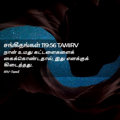 Picture 02 - சங்கீதங்கள் 119:56 TAMIRV - நான் உமது - Bible Verse Picture