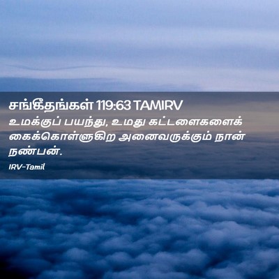 Picture 02 - சங்கீதங்கள் 119:63 TAMIRV - உமக்குப் பயந்து, - Bible Verse Picture