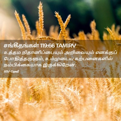 Picture 02 - சங்கீதங்கள் 119:66 TAMIRV - உத்தம - Bible Verse Picture