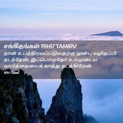 Picture 02 - சங்கீதங்கள் 119:67 TAMIRV - நான் - Bible Verse Picture