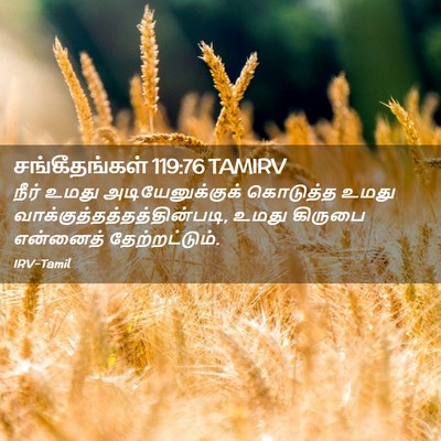 Picture 02 - சங்கீதங்கள் 119:76 TAMIRV - நீர் உமது - Bible Verse Picture
