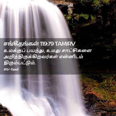 Picture 02 - சங்கீதங்கள் 119:79 TAMIRV - உமக்குப் பயந்து, - Bible Verse Picture
