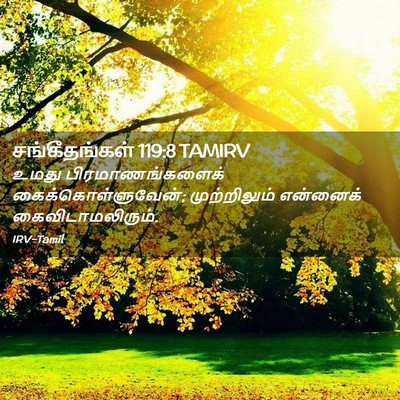 Picture 02 - சங்கீதங்கள் 119:8 TAMIRV - உமது - Bible Verse Picture