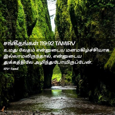 Picture 02 - சங்கீதங்கள் 119:92 TAMIRV - உமது வேதம் - Bible Verse Picture
