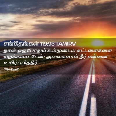 Picture 02 - சங்கீதங்கள் 119:93 TAMIRV - நான் ஒருபோதும் - Bible Verse Picture