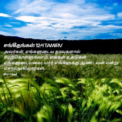 Picture 02 - சங்கீதங்கள் 12:4 TAMIRV - அவர்கள், - Bible Verse Picture