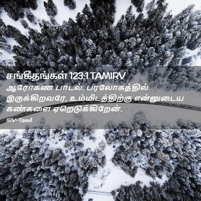 Picture 02 - சங்கீதங்கள் 123:1 TAMIRV - ஆரோகண பாடல். - Bible Verse Picture