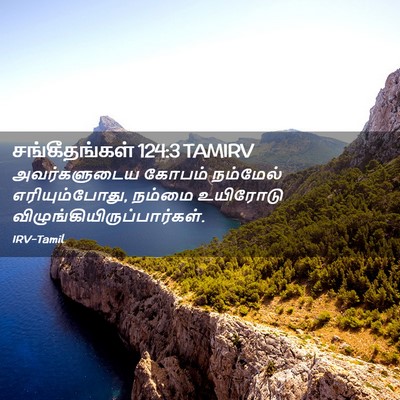 Picture 02 - சங்கீதங்கள் 124:3 TAMIRV - அவர்களுடைய கோபம் - Bible Verse Picture