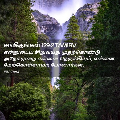 Picture 02 - சங்கீதங்கள் 129:2 TAMIRV - என்னுடைய சிறுவயது - Bible Verse Picture